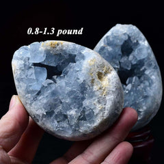 Top view of FZBHRO celestite egg highlighting pale sky blue hue.