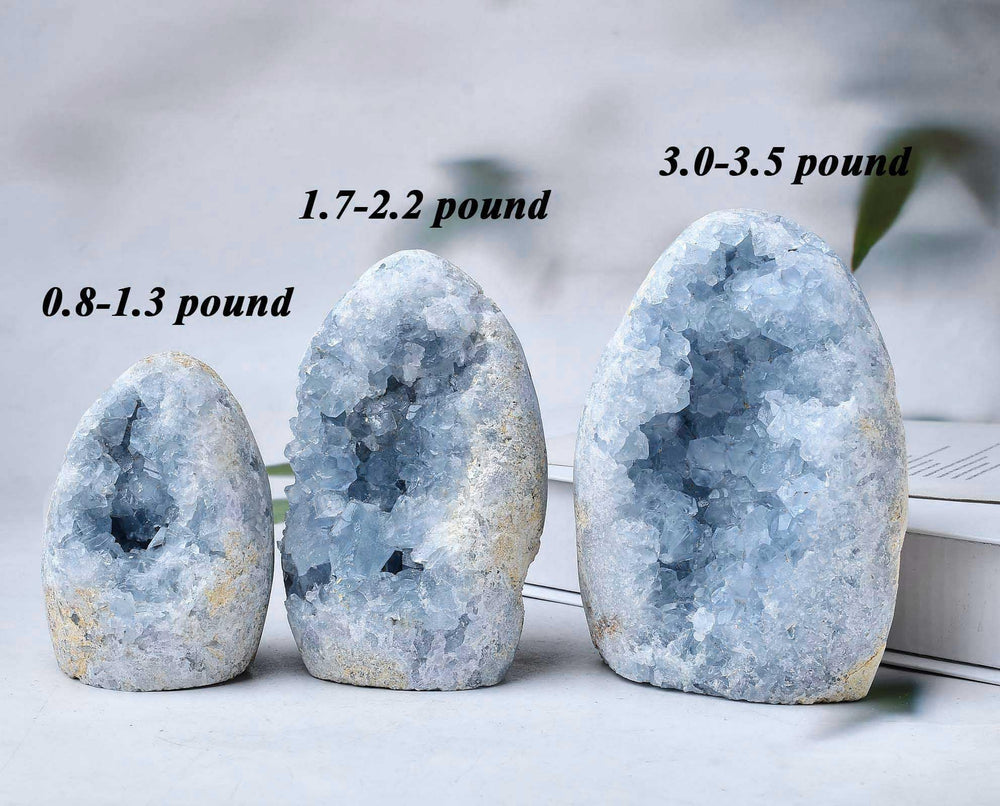 FZBHRO blue celestite cluster displayed on shelf with soft light