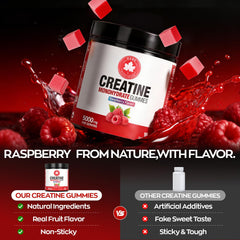 GABE SUNNYBEARS Creatine Gummies NSF certification badge on packaging.
