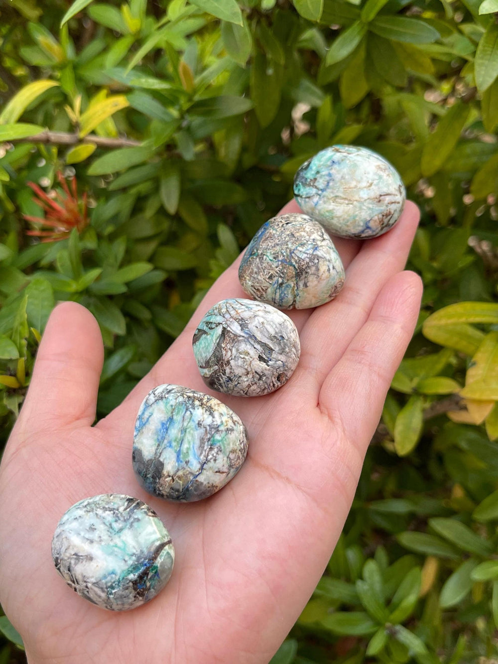 GAF TREASURES azurite malachite tumbled stones 5pc pack for meditation and grid work
