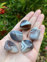 GAF Treasures Botswana Agate grid-work stones arranged for energy balancing