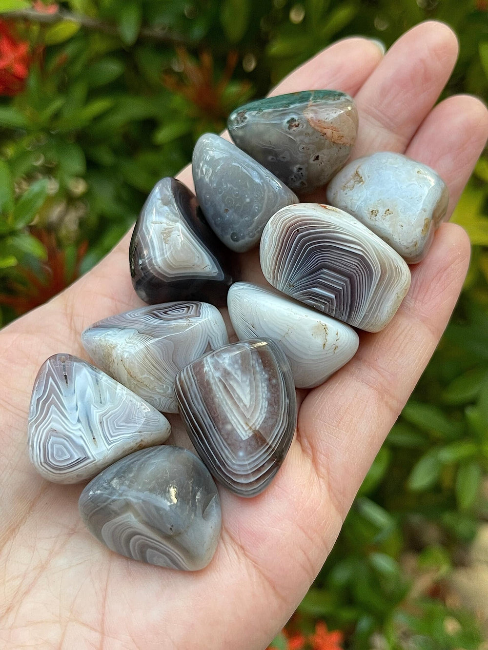 GAF Treasures Botswana Agate natural-variation stones highlighting unique patterns