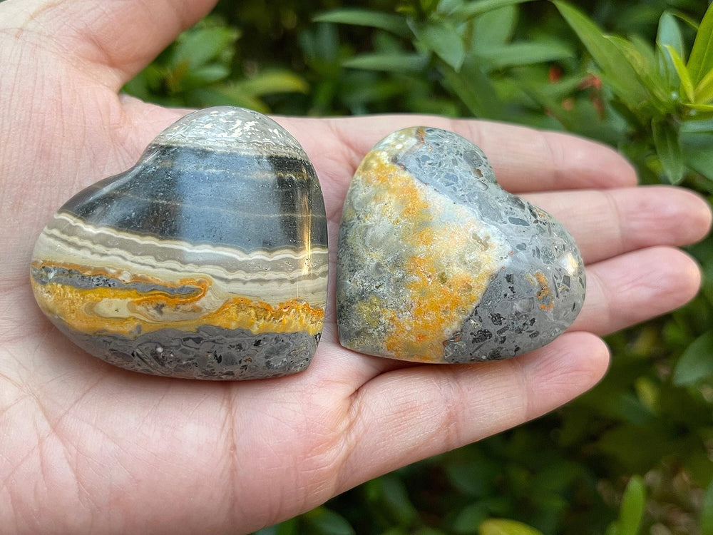 GAF Treasures Bumble Bee Jasper banding close-up highlighting transformation vibes