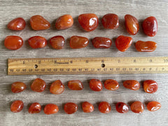 GAF TREASURES Carnelian 19-32mm stones for versatile layouts and display