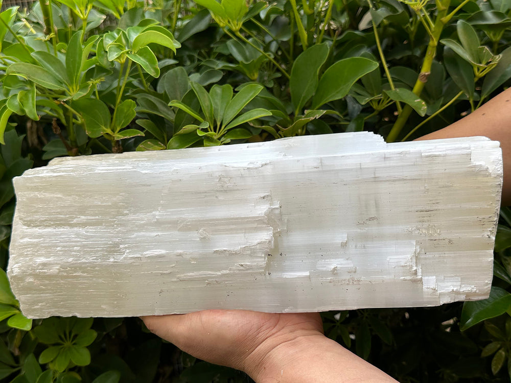 GAF TREASURES jumbo selenite log catches light beautifully
