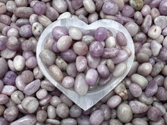 Kunzite crystals used for energy grid work and space cleansing.