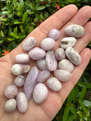 GAF TREASURES Kunzite grade A stones for calming focus.