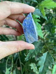 GAF Treasures lapis lazuli rough for lapidary work, polishing, and cabbing.