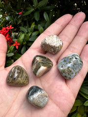 GAF TREASURES Ocean Jasper stones ideal for grid work and displays.