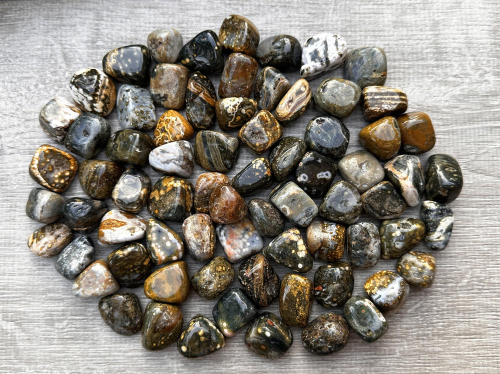 GAF TREASURES Ocean Jasper polished rocks showcasing natural patterns for display.