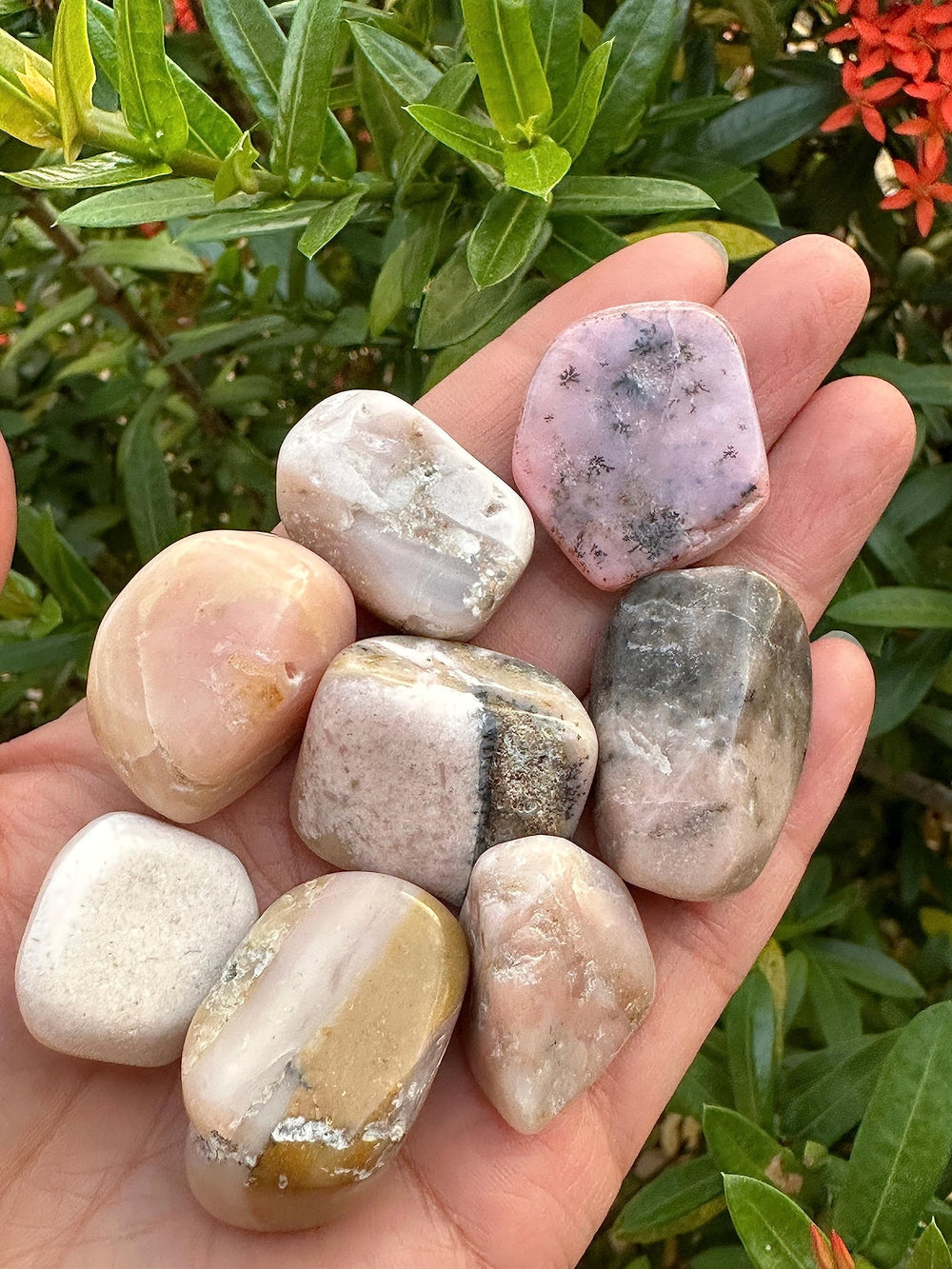 GAF TREASURES pink opal natural variation in color and size