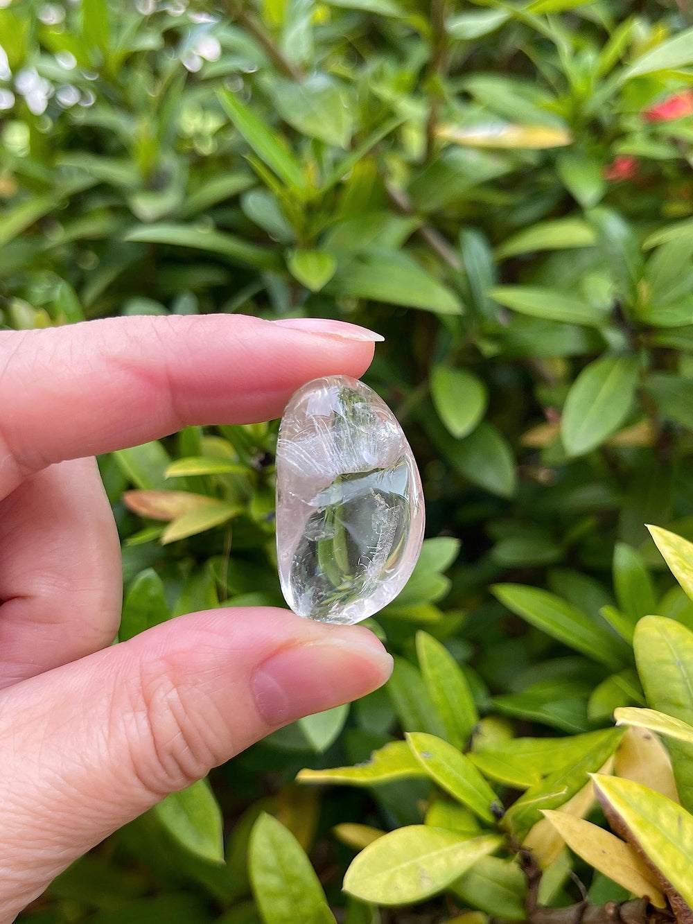 GAF TREASURES polished clear quartz gemstones 0.75–1.25 inch – luminous pocket-friendly pieces.