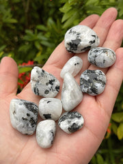 GAF Treasures Rainbow Moonstone pieces each with unique character.