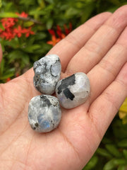 GAF Treasures Rainbow Moonstone stones sized 0.75 to 1.25 inches.