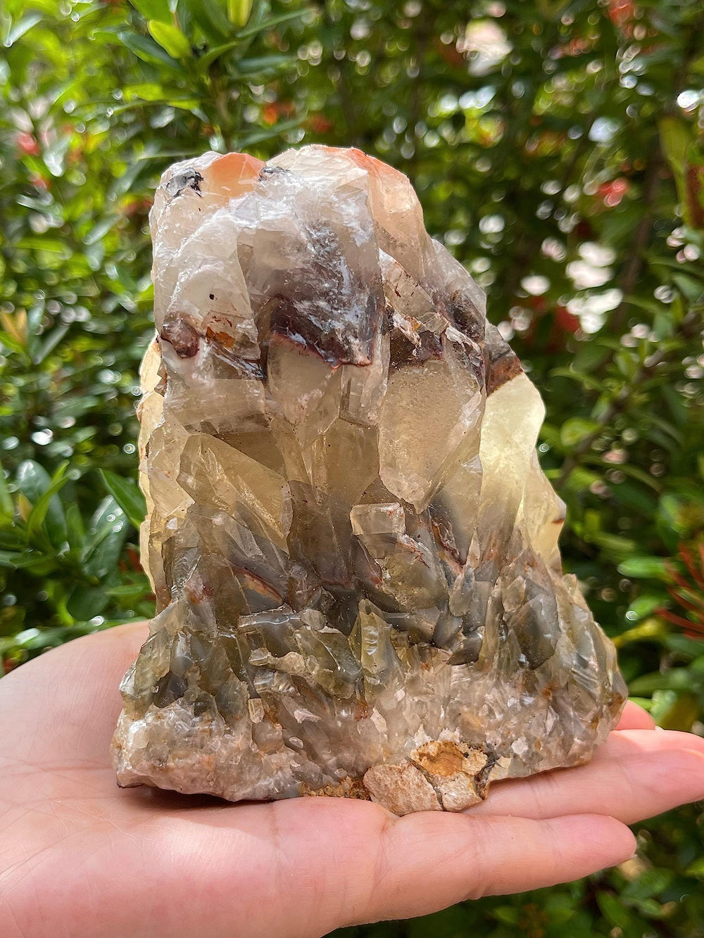 GAF Treasures red-brown calcite rough 1-2 lb for cabbing projects.