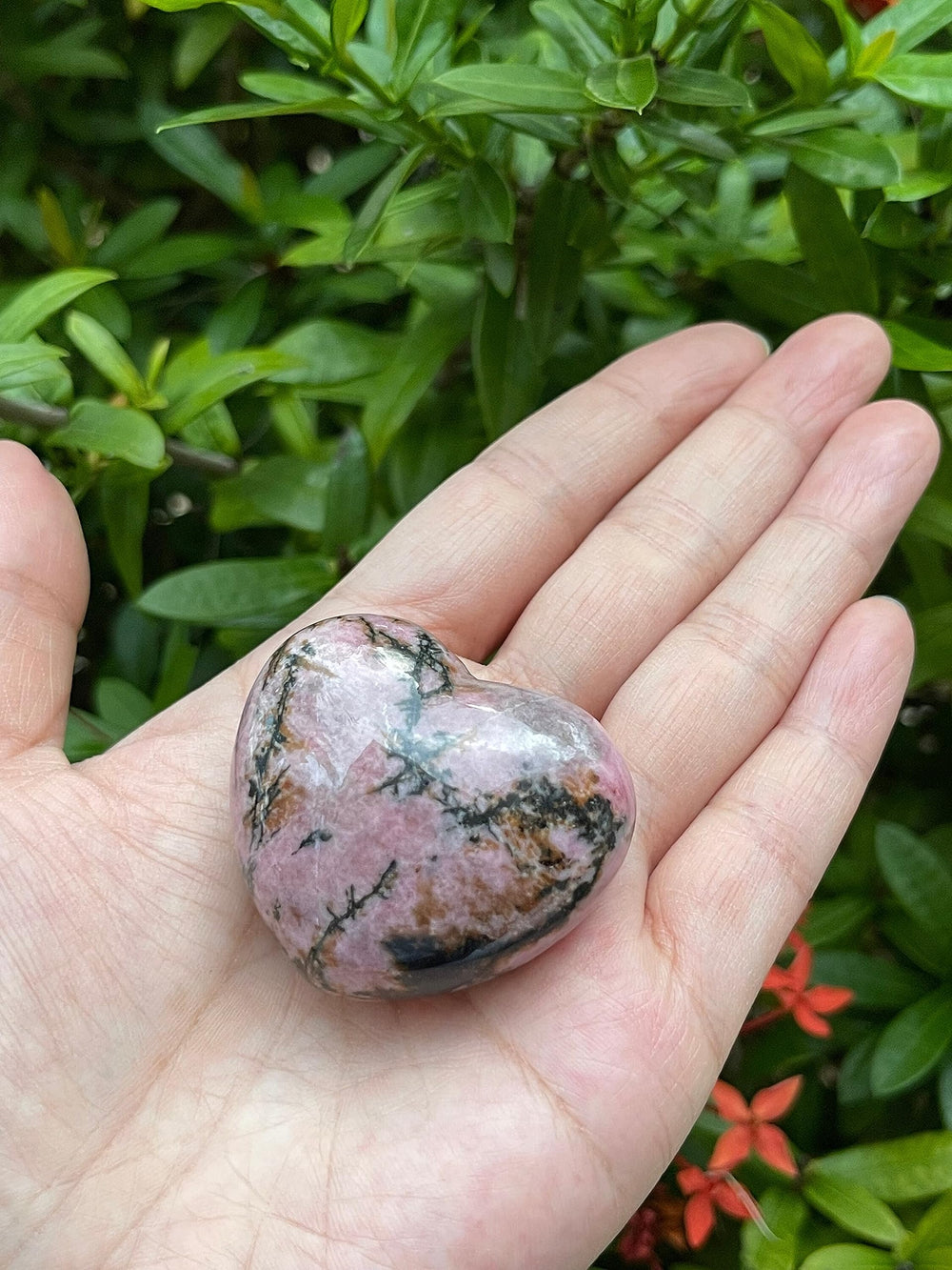 GAF Treasures Rhodonite Palm Stone ideal for meditation and grounding practices