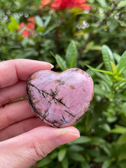 GAF Treasures Rhodonite Puffy Heart polished surface gleams under light for display