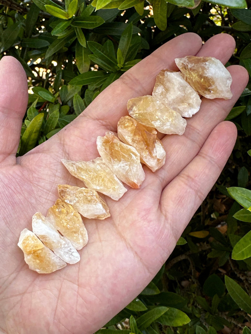 GAF TREASURES rough citrine point sunlit glow brightens energy spaces.