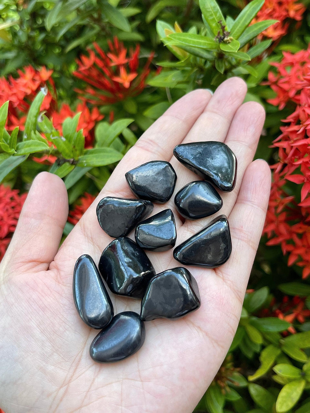 GAF TREASURES Shungite by weight sample showing 33–38 stones per pound.