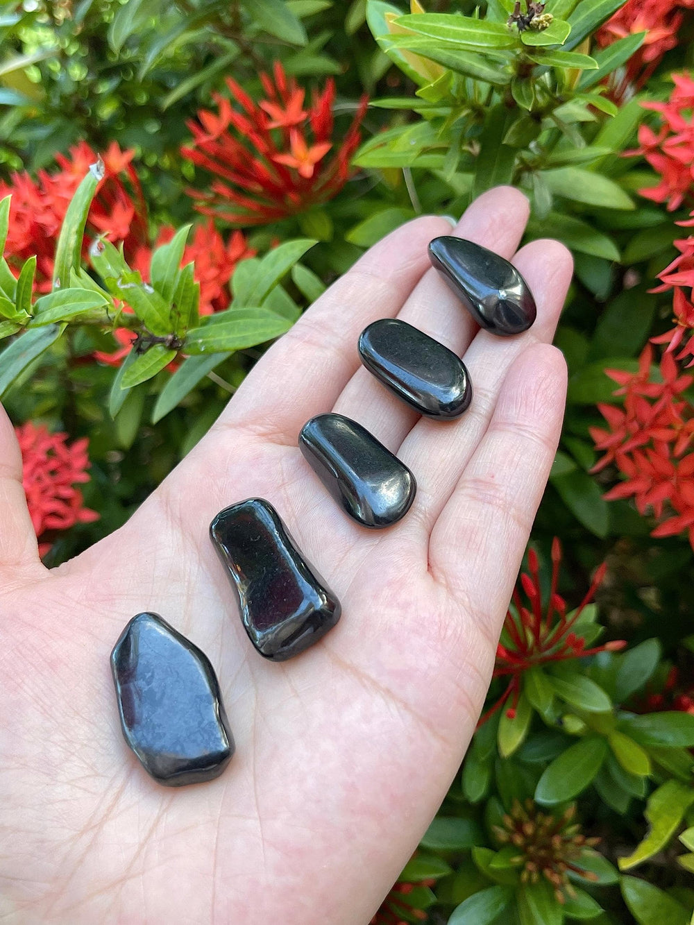 GAF TREASURES Shungite stones with varied shapes and hues for tactile ritual.
