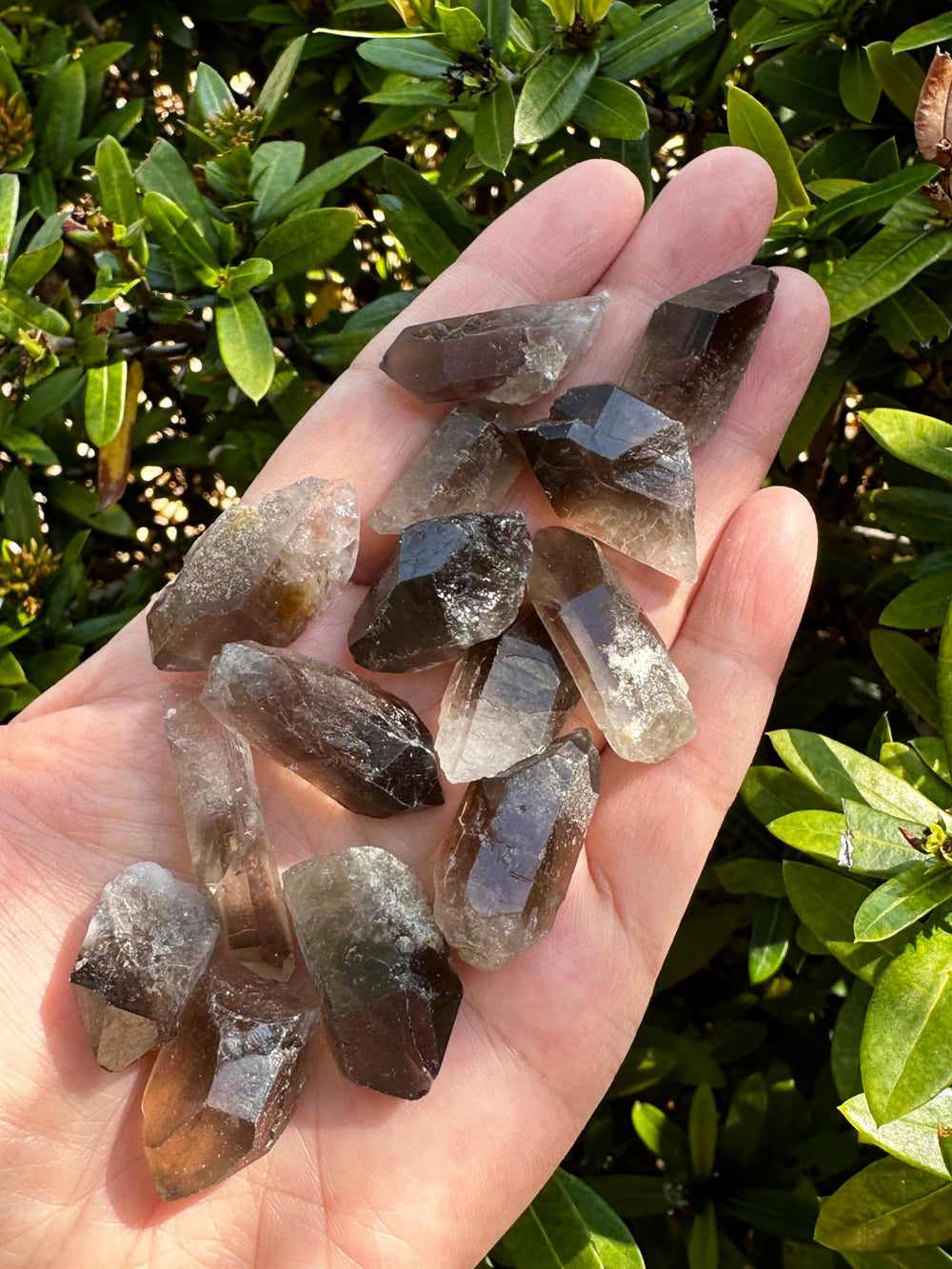 GAF TREASURES Smoky Quartz Point pile view highlights natural variation and earthy appeal