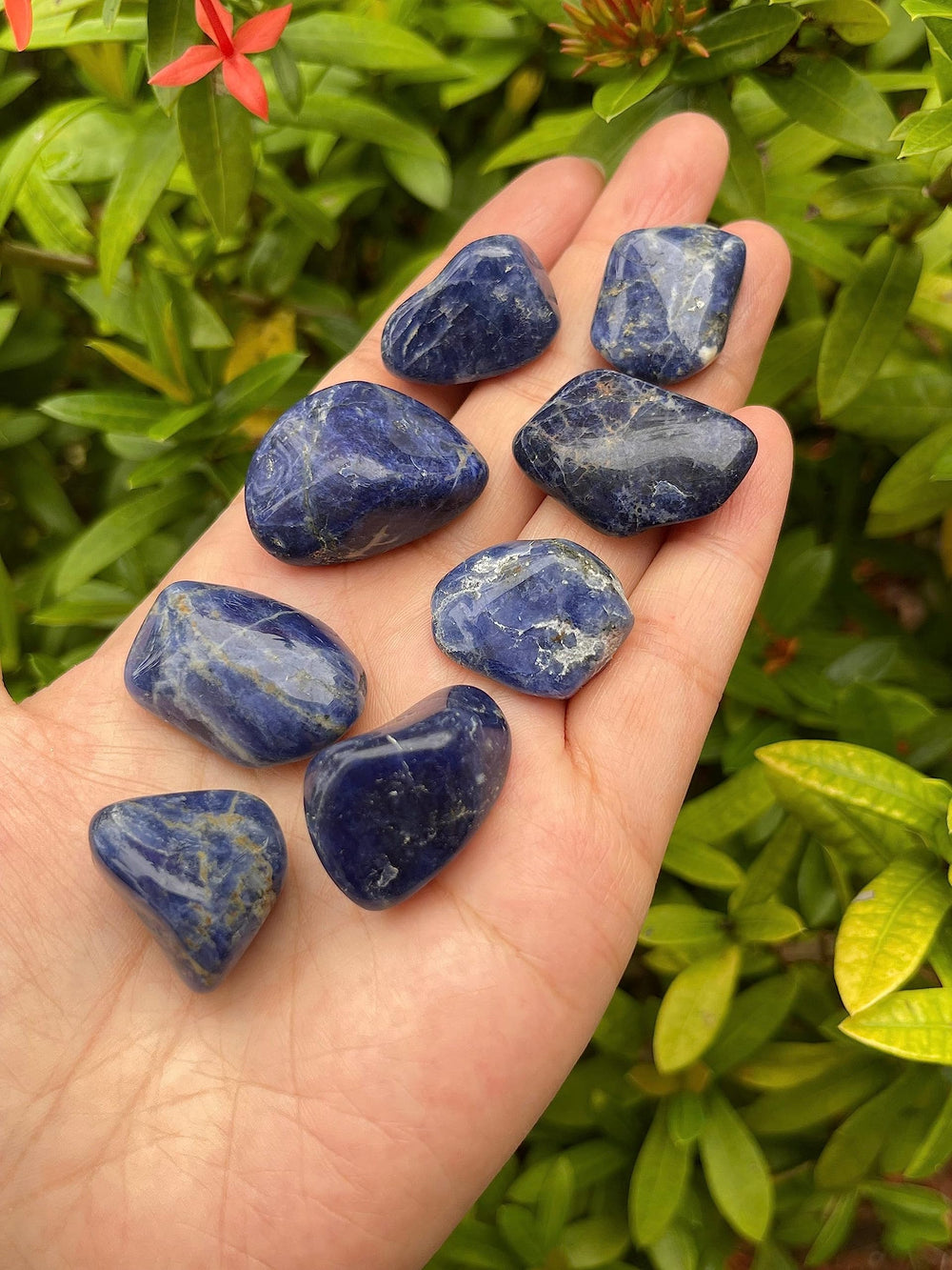 GAF TREASURES sodalite by the pound packaging demonstrates value for retailers