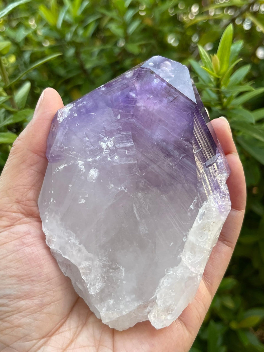 GAF TREASURES XL amethyst crystal in a collection display for contrast.