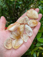 GAF TREASURES One-pound bulk citrine stones for crafts and collections.