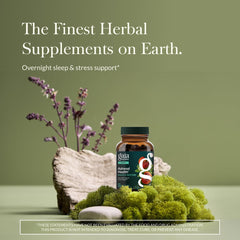 Gaia Herbs Adrenal Health Nightly Restore label close-up highlights the herbal blend