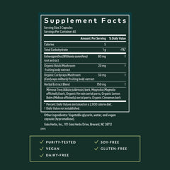 Gaia Herbs ashwagandha capsules designed for stress-support routines