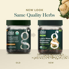 Gaia Herbs earth-to-supplement map showing ethical sourcing.