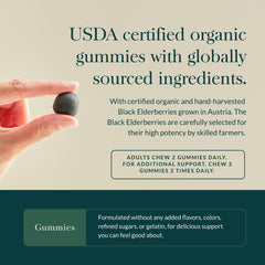 Serving size panel on Gaia Herbs elderberry gummies package.