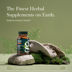 Gaia Herbs Eleuthero Root capsules close-up, vegan liquid formula.