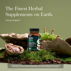 Gaia Herbs Everyday Immune capsules close-up for plant-based daily support