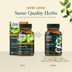 Gaia Herbs Green Tea leaves close-up with vibrant green color