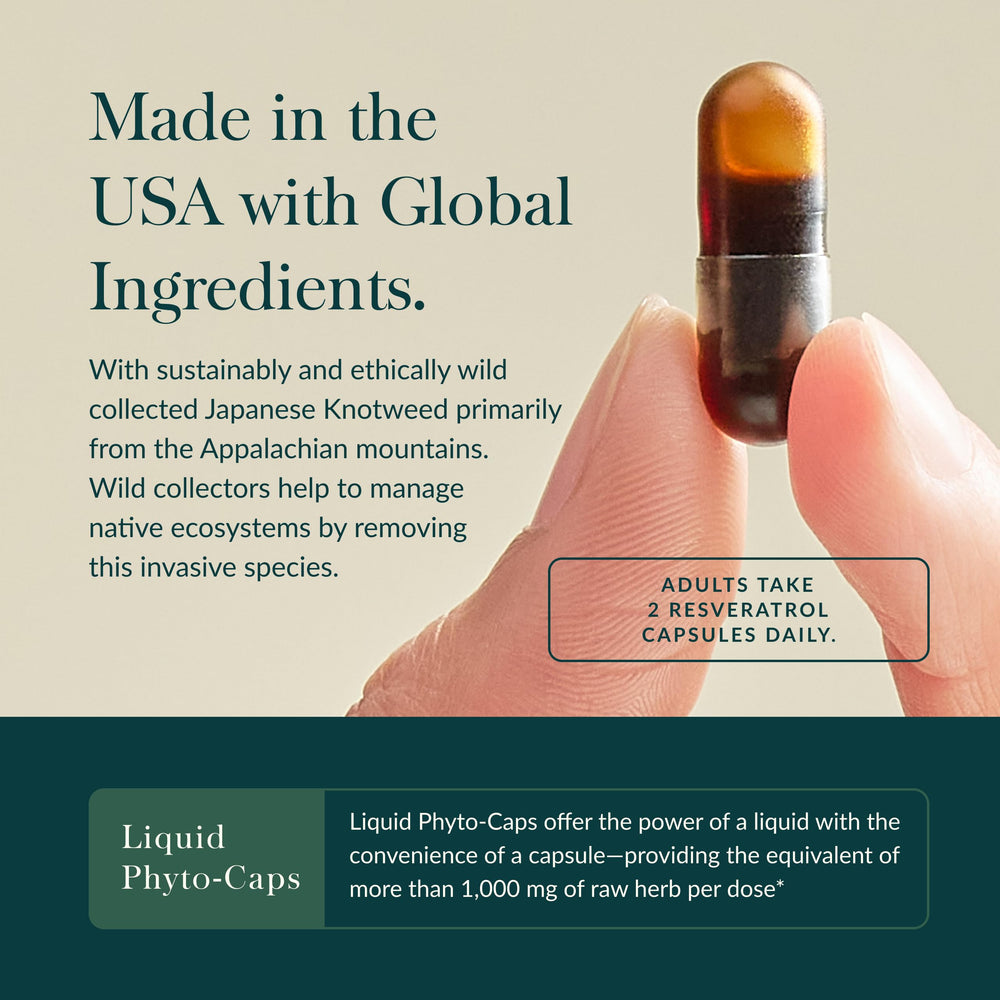 Gaia Herbs Resveratrol and Japanese knotweed plant imagery