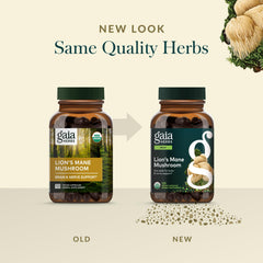 Gaia Herbs Lion's Mane capsules spread for easy daily use