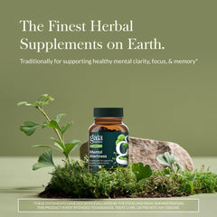 Close-up of Gaia Herbs Mental Alertness capsules for clear memory support.