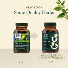 Gaia Herbs origin Spain map highlights ancient olive trees.