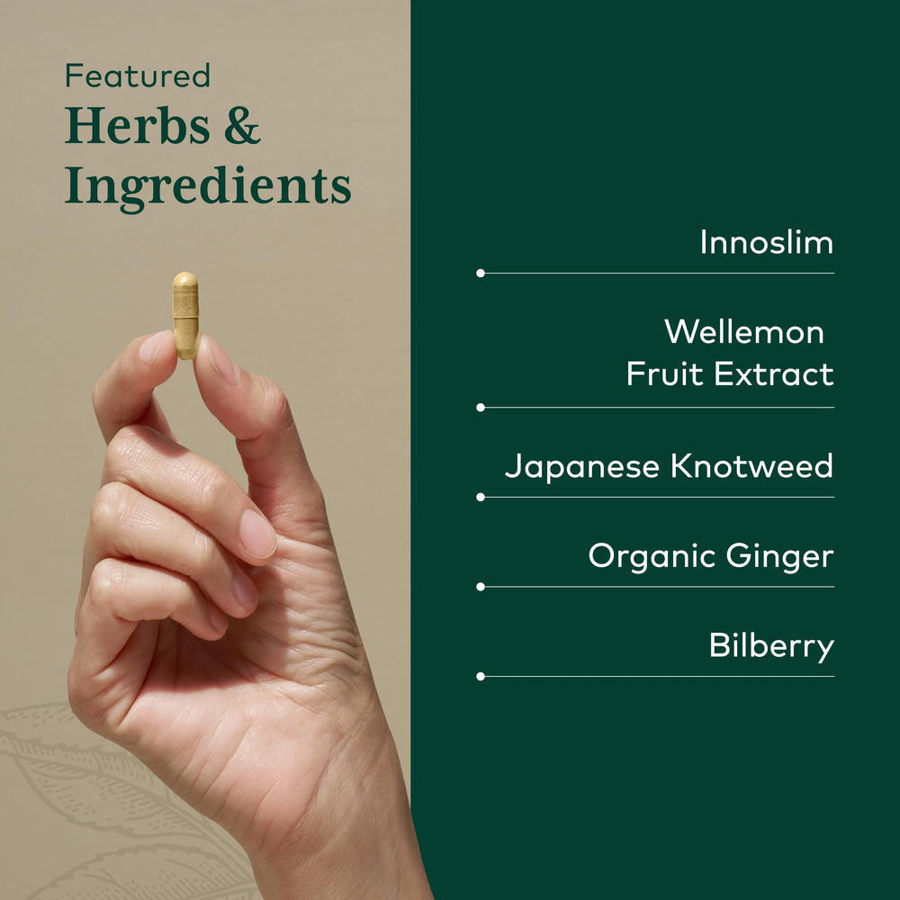 Innoslim and Wellemon components highlighted for energy pathways in GAIA Pro Activator.