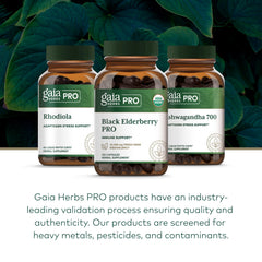 Gaia Herbs PRO capsules being poured for a simple daily routine