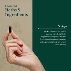 GAIA Herbs PRO Ginkgo leaf close-up showcases natural potency.