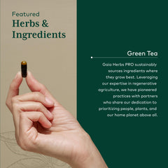 Gaia Herbs PRO green tea polyphenols close-up for antioxidant support.