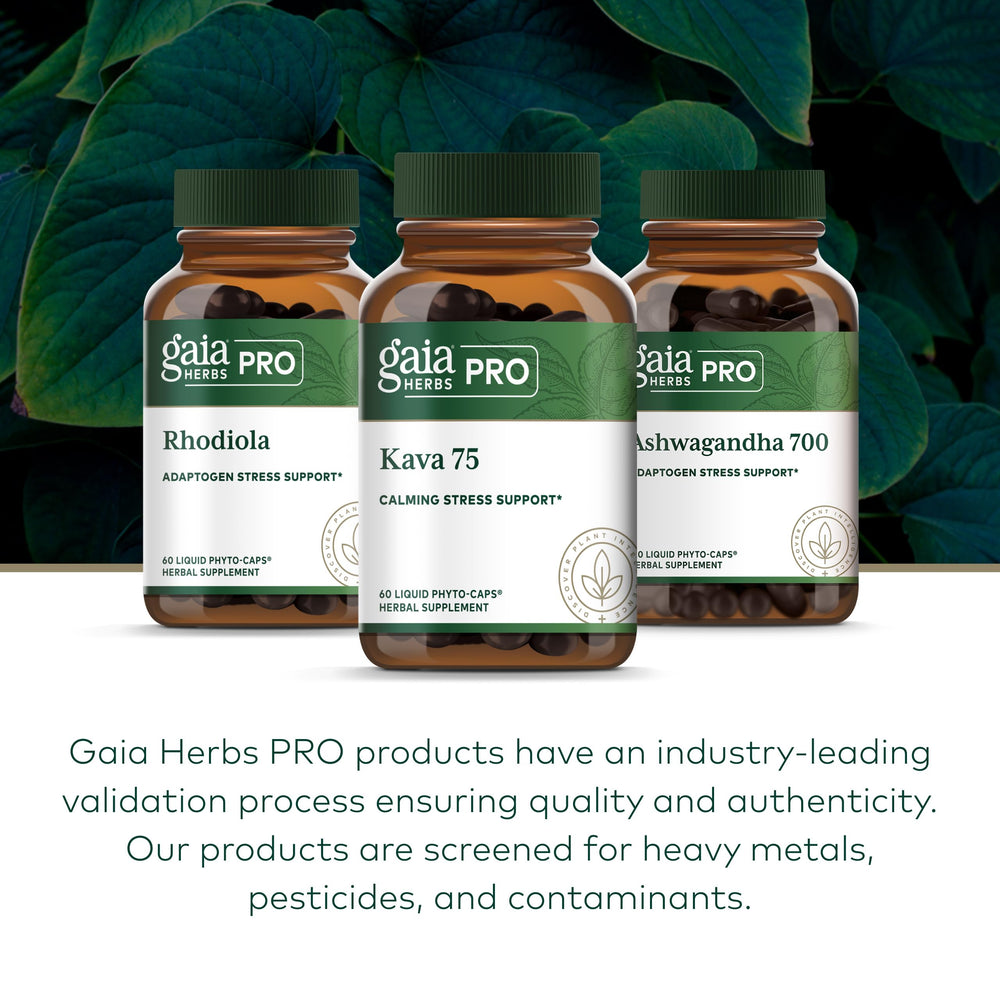 Gaia Herbs PRO Kava 75 shelf display for easy access to calm support