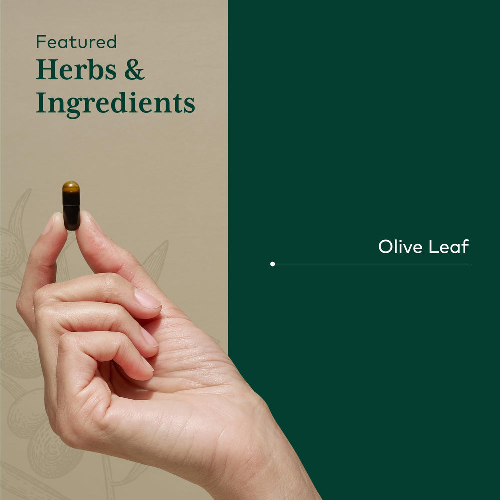 GAIA Herbs PRO Olive Leaf 1360 oleuropein spotlight signals cardiovascular wellness support.