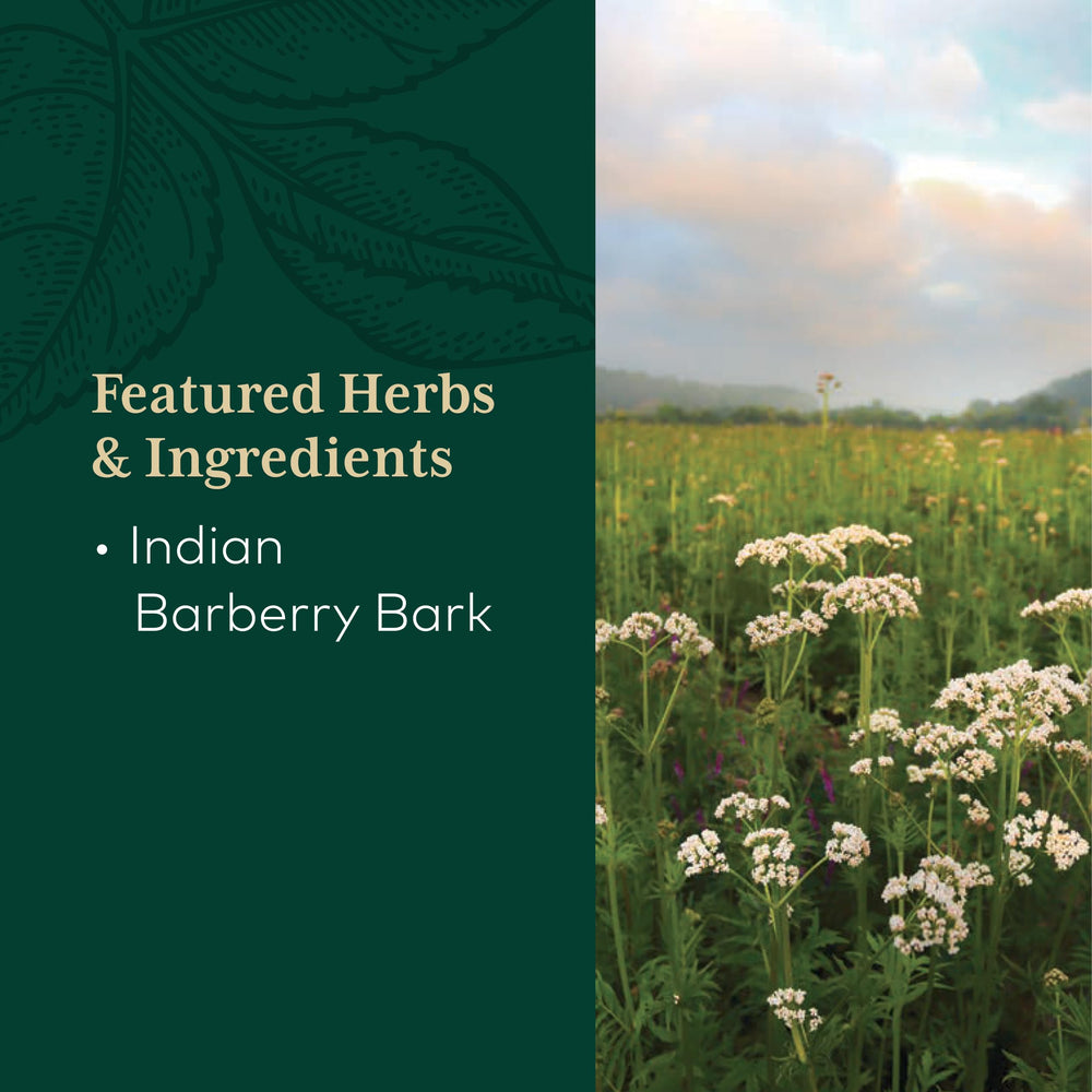 GAIA Herbs PRO regenerative organic farm in North Carolina—sustainable ingredient sourcing.