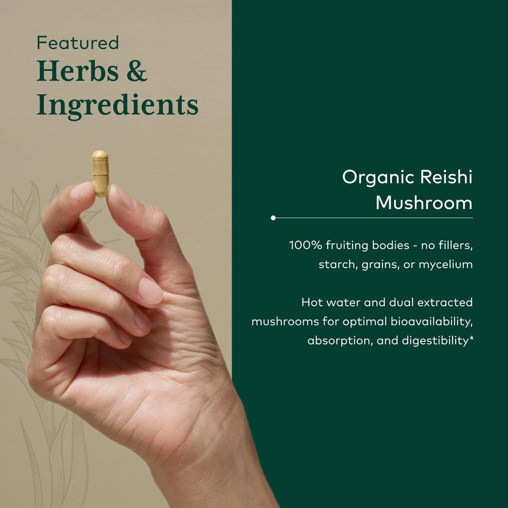 Gaia Herbs PRO Reishi farm rows illustrating regenerative farming