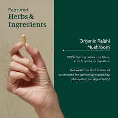 Gaia Herbs PRO Reishi farm rows illustrating regenerative farming