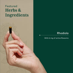 GAIA Rhodiola capsules pour illustrates easy daily use.