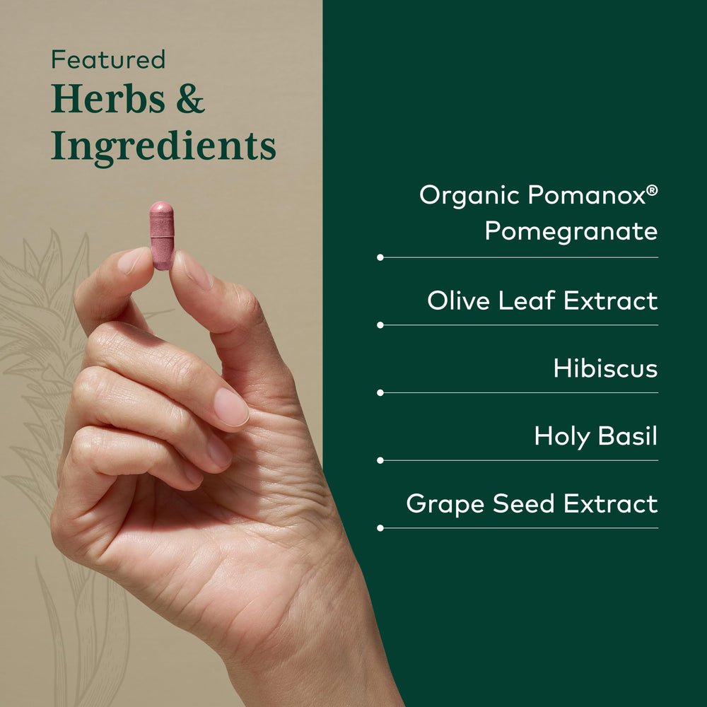 Hibiscus flower paired with Gaia Herbs PRO Systolic Complex blend